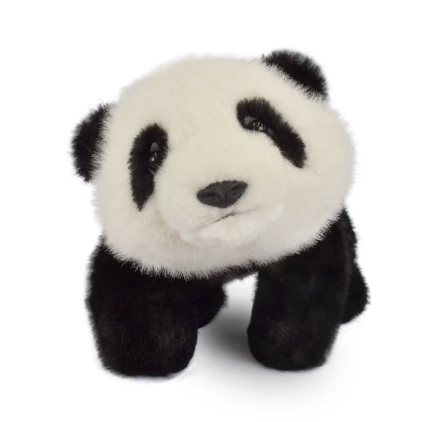 Pandaen Bao (32 cm)