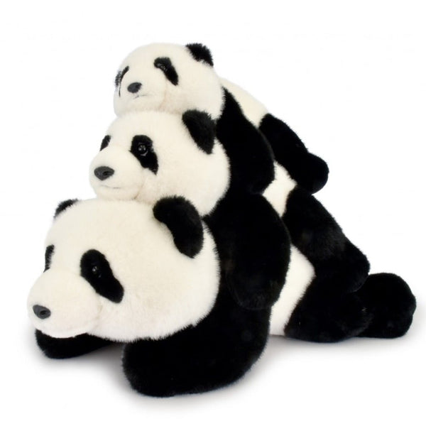 Pandaen Bao (42 cm)