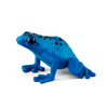 Blauer Giftfrosch