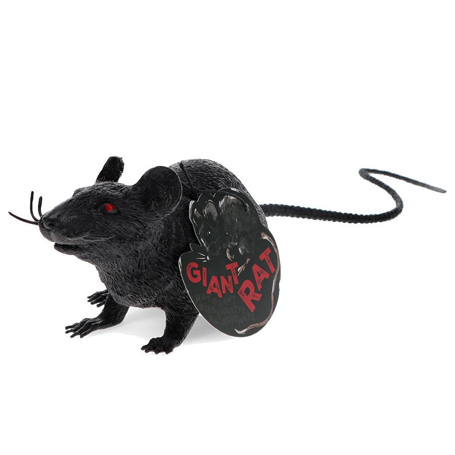 Scary Rotte