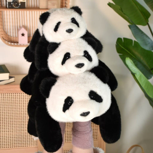 Pandaen Bao (52 cm)