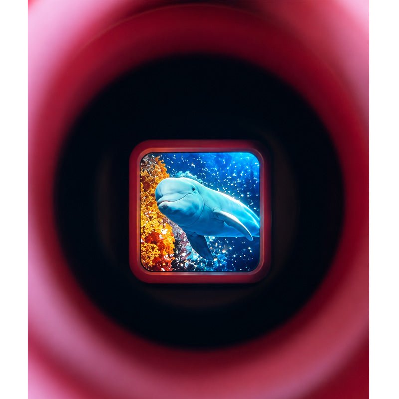 Retro 3D Viewer Rosa