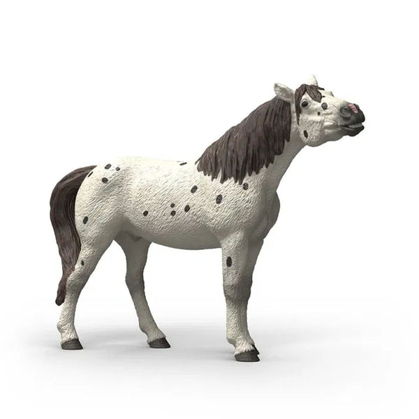 Knabstrupper Vallak