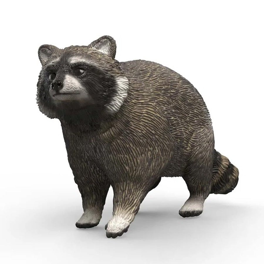 Vaskebjørn